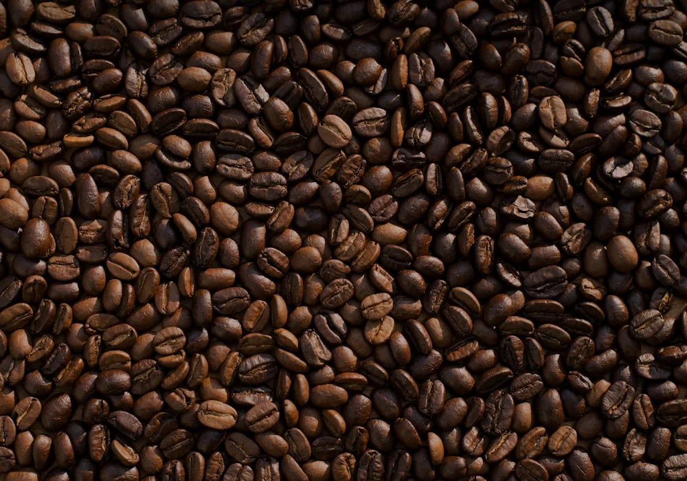 Coffee fruit and beans representing Johor Liberica
