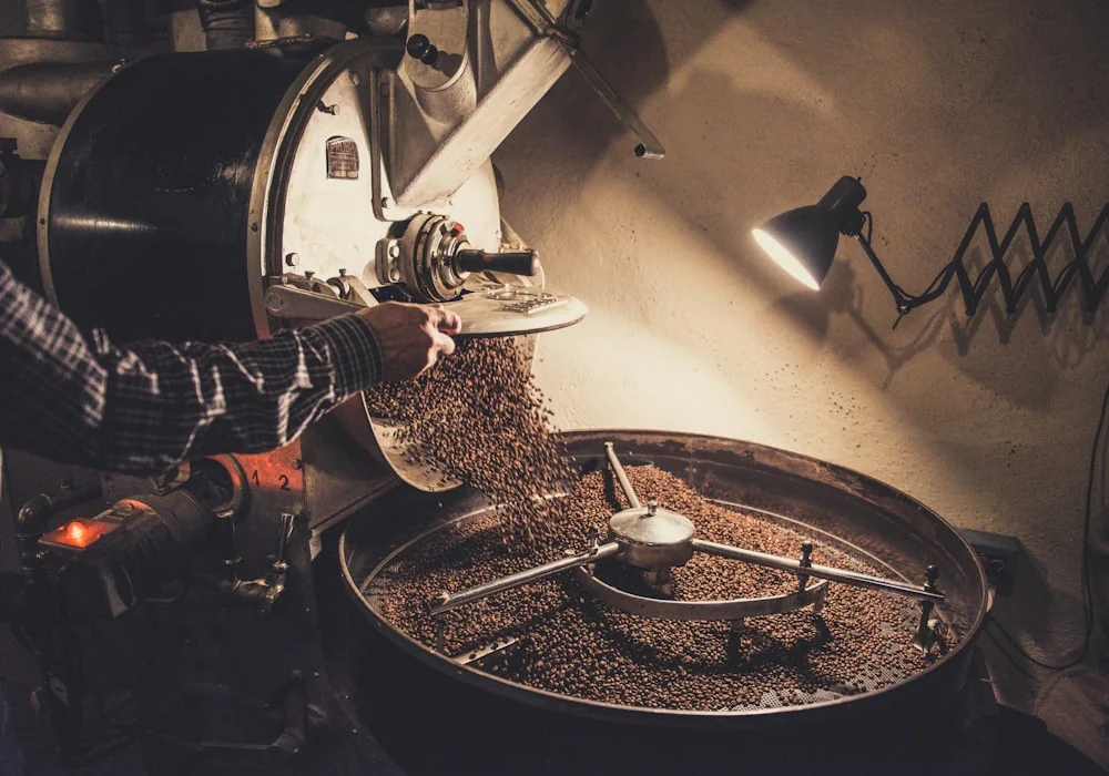 Roasted coffee beans associated with Tenom, Sabah